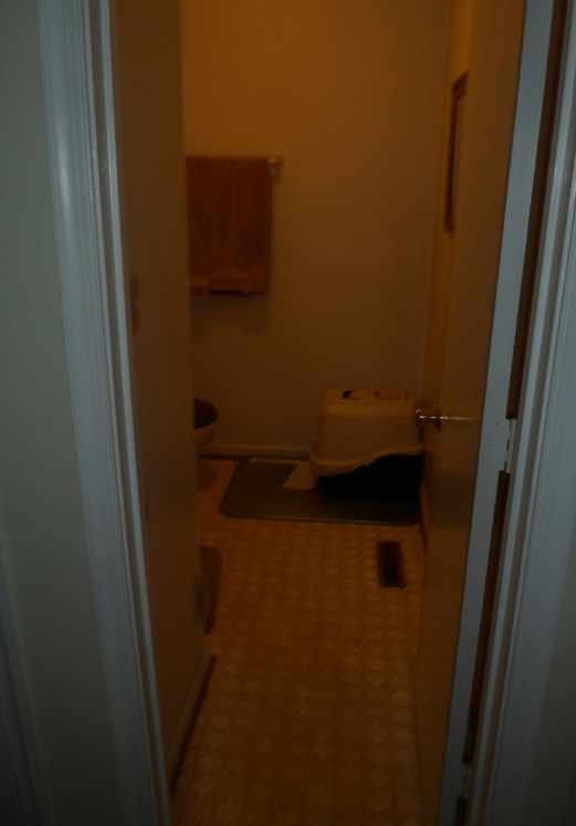 Salem Bathroom Remodeling Contractor Half Bath Before Conversion