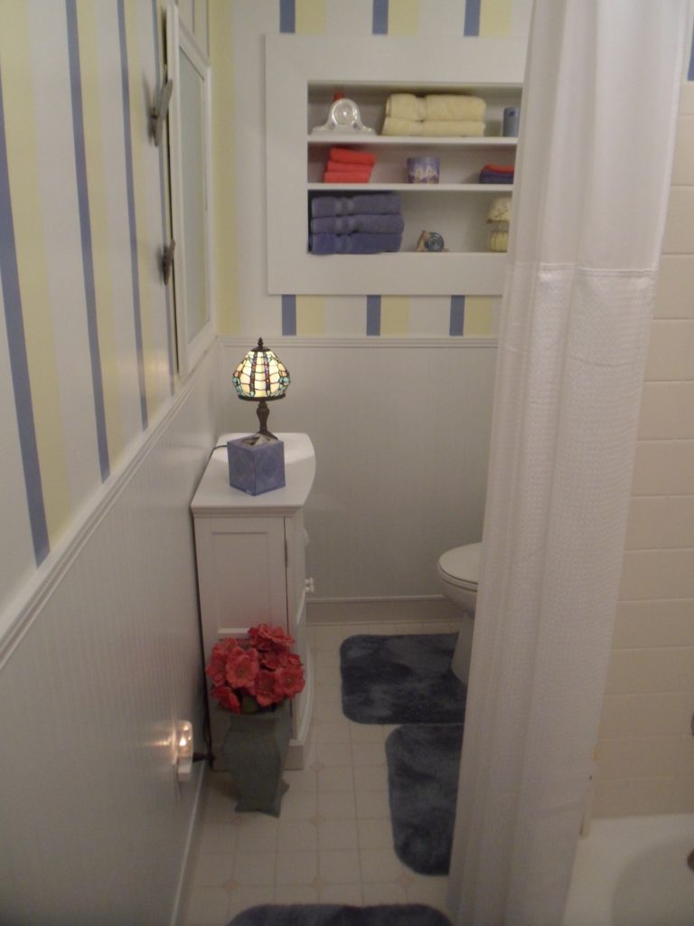 Roanoke Old Bathroom before New Remodeling Job Completed